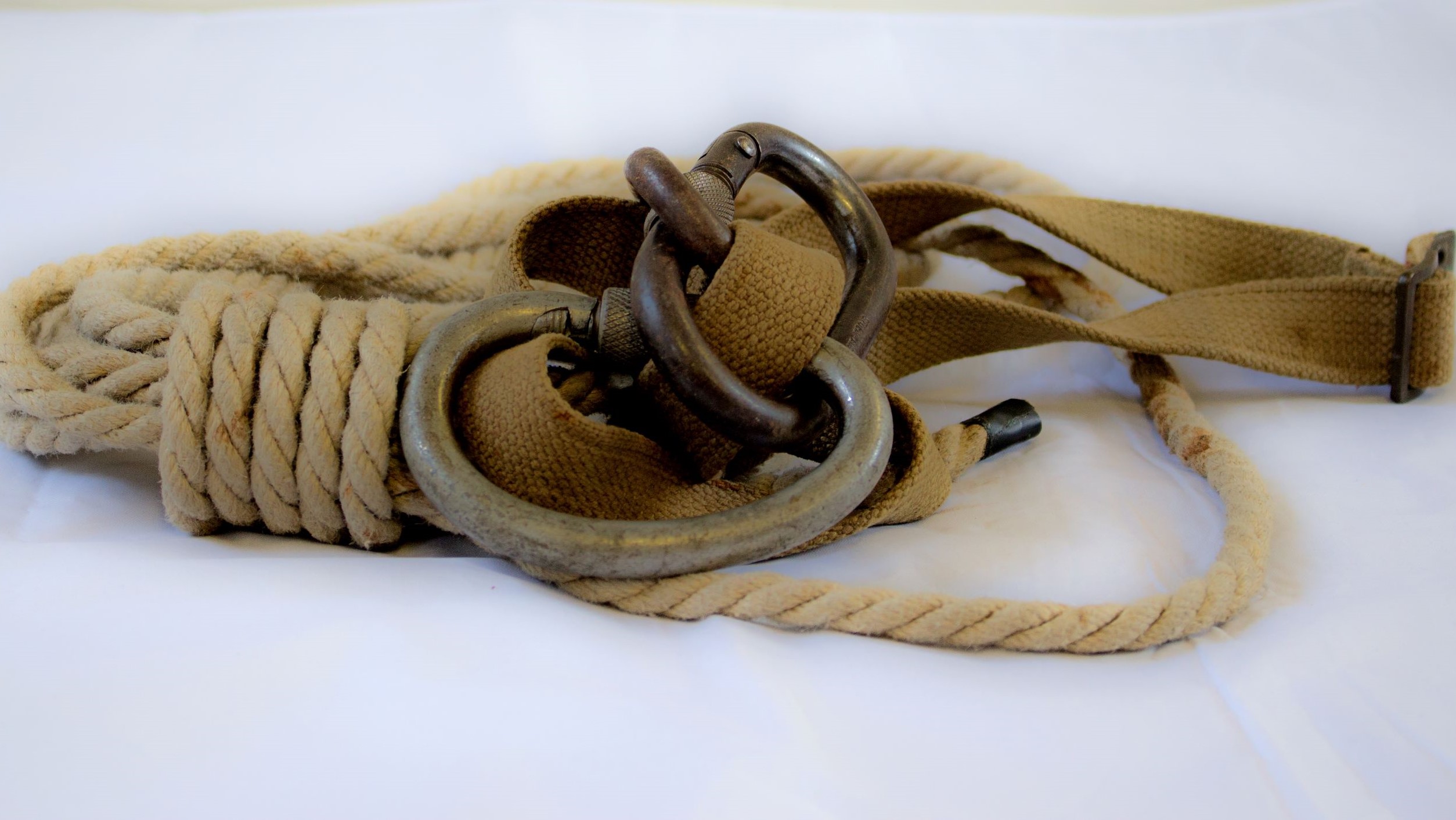 Pic of carabiners and rope